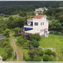 컴투펫 위탁보호센터 이미지