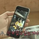 전현무 카카오 검색결과