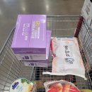 상하2통 | 코스트코 추천 일드프랑스 브리 슬라이스 치즈 , 상하 리코타 치즈