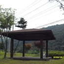 수회리로 Daum카페