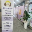 대성애견 이미지