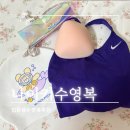 호순네집 | 수린이 입문용 수영복 추천 나이키 솔리드패스트백 후기｜산쥬수영로그 02