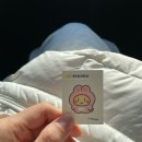 UR(파주시)-[명동길]-하-1 | 마지막 먹부림 일상이 될거에요.. 아마도?