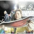 제주밤바다