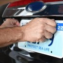 자동차 번호판에 담긴 의미