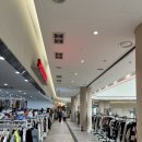 함박약국 | 아비꼬안산휴게소점 치즈함박에그카레&amp;돈까스냉모밀 | 안산휴게소맛집 후기