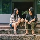 효리네 민박 이미지