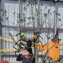 채니농장 이미지