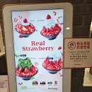 설빙서울