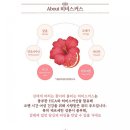 카페 티타임 이미지