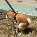 견생맛스토어 이미지