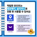 태권도 오송 정도장 이미지