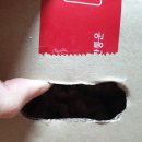 영득농장 티스토리