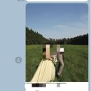 모바일 청첩장 살롱드레터 내돈내산 대만족 100% 후기