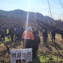 역골농장 이미지