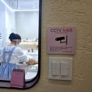 디오슈페리움2차 | [서초/방배] 고양이 미용 전문'나디캣' 용기내어 방문해본 후기 (이수역 총신대입구역+주차팁)