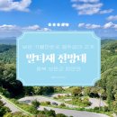 속리산 말티재 자연휴양림 &#39;말티재 전망대&#39; 뜻 계절별 운영시간 주차장