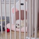 건일약국 | 주간일상 10월 다섯째주