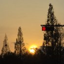 굴마을낙지촌봉곡원호점 이미지