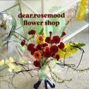 보문로즈 이미지