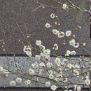 금오초교 이미지