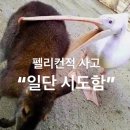 나의 10월