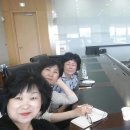 성남시청 탄천관 이미지