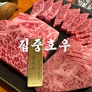 하단 고급 한우 1++ 맛집 집중호우 솔직후기