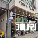 카페인개나리