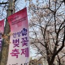충훈터널_석수도서관 | 안양 충훈부 벚꽃길 벚꽃축제 실시간 후기, 이번 주말이 절정!