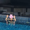 [수영] 부산 강서구국민체육센터, 수영 강습, 신규접수 및 자유수영 안내 (구 강서브라이트센터)