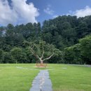 남이섬힐링캠핑장 | 가평 오토캠핑장 캠프올모 후기, 개별화장실과 숲의 힐링