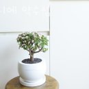 CU중구약수점 이미지