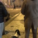 세원뼈다귀 이미지