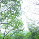 휴림펜션B 이미지