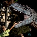 모자목장 이미지