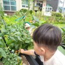 보령푸드 이미지