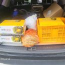 오근농장 이미지