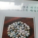 사리 이미지