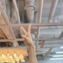 한일광고 | 한일 콧물흡입기 실사용 후기 및 비교 총정리