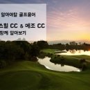 메조 스테이 이미지