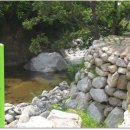 금바우골 이미지