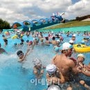 서울랜드 야외수영장 이미지
