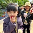 남성 초등학교 병설 유치원 이미지