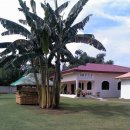 임마누엘 이미지