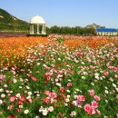 국민관광주 이미지