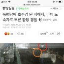 폭행당해 초주검 된 피해자, 굳이 노숙자로 부른 황당 경찰 이미지