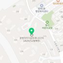 광복로1R 네이버블로그