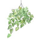 마음을 심는 원예테라피 이미지