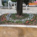 도천경로당 이미지